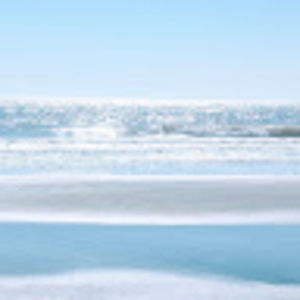 Meet your Posher, Bridgette